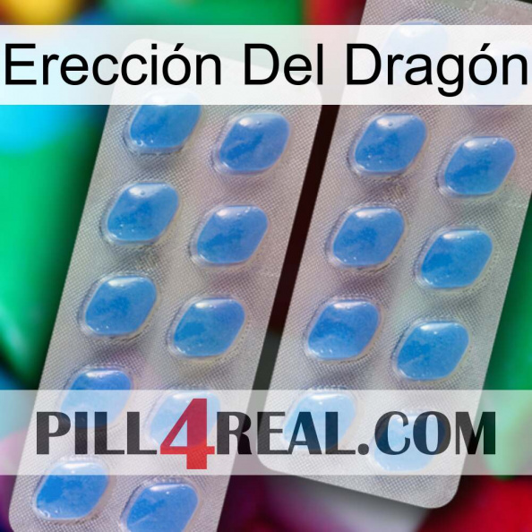 Erección Del Dragón 23.jpg